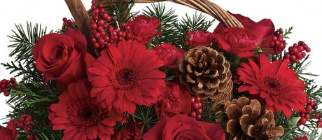 Beautiful Seasonal Flowers Banner
